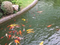 -上海虹桥宾馆味翠餐厅