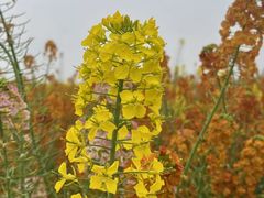 -中国天府农业博览园