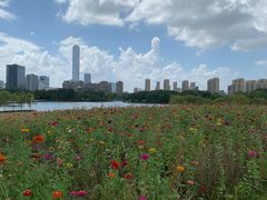 -白塘生态植物园