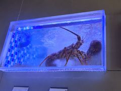 -映像威海·威海宴(威高广场店)