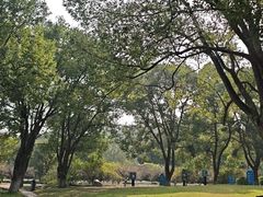 -白马涧龙池景区