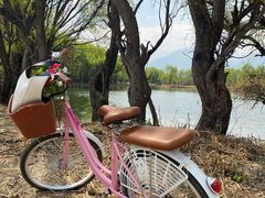 -大理洱海
