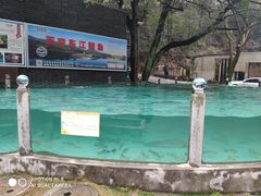 -天怡·鱼工厂(梅溪湖店)