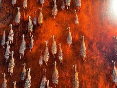 -罗红摄影艺术馆