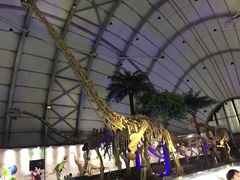 -辽宁古生物博物馆
