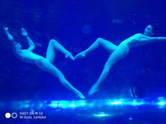 -华夏文旅海洋公园