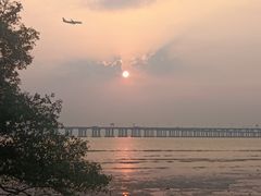 -宝安西湾红树林湿地公园