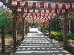 -白马涧龙池景区