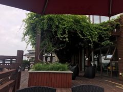 -望海·帆船主题咖啡厅•品茗下午茶(石湖景区店)
