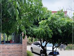 -香竹农庄•传统竹筒饭(十年店)