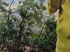 -火炉山森林公园