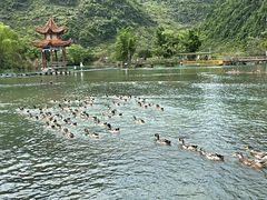 -靖西鹅泉风景区