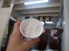 -洪馨椰子