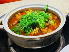 -先机泉水鸡汤(南山老君洞店)