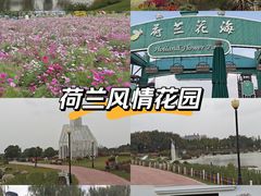 -荷兰花海