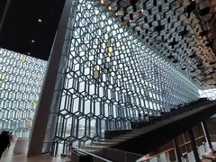 -冰岛阴茎博物馆