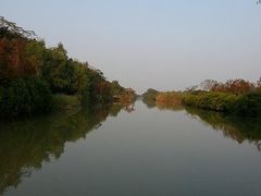 -大湾区中央湿地公园