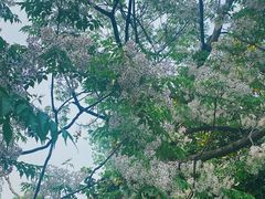 -浙江大学(紫金港校区)