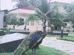 -吐斯廉屠杀博物馆