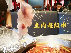 -蜀滋香鲜鱼美蛙火锅(339店)