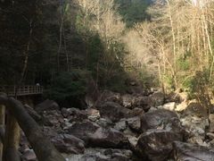 -花岩国家森林公园