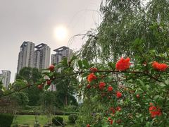-桃花岭景区