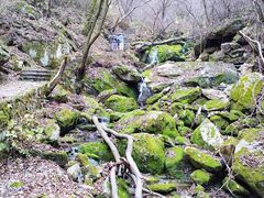 -西安祥峪森林公园