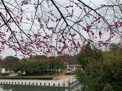 -白塘生态植物园