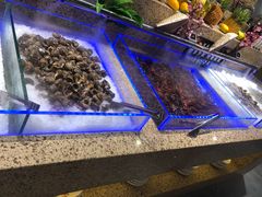 水产区-和谐号(全运路万达店)
