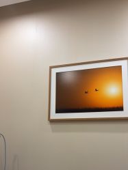 -北京米扬丽格医疗美容·联合丽格鼻整形中心