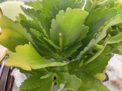 -姬颜氏美丽汇皮肤管理