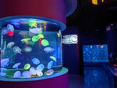 -太平洋海底世界