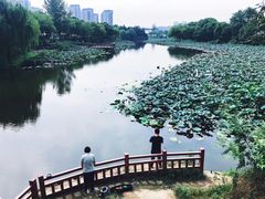 -新江湾城公园