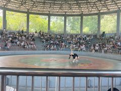 -石家庄市动物园