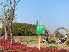 -嘉北郊野公园