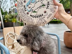 -Grande A'moo(上海万象城店)