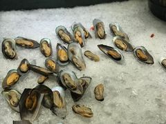 -紫金港国际饭店-自助早餐(申花路店)