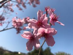 -南溪山景区
