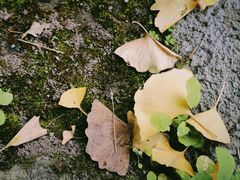 -金堂县云顶石城风景区
