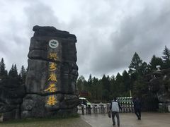 -汤旺河林海奇石景区