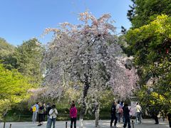 -西安青龙寺遗址景区