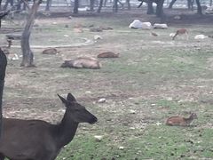 -西安秦岭野生动物园