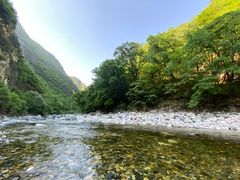 -黑河国家森林公园