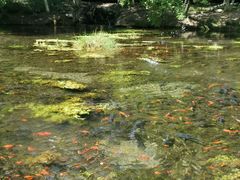 -水磨沟公园