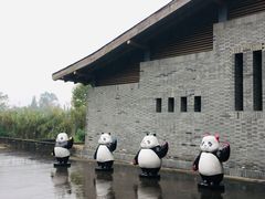 -都江堰中华大熊猫苑