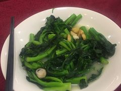 白灼菜心-金苑海鲜酒家(新港中路店)