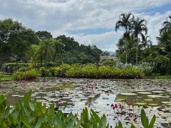-中国科学院西双版纳热带植物园