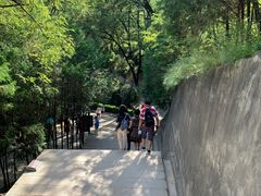 -延安杨家岭革命旧址