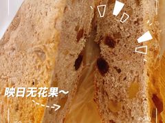 映日无花果-原麦山丘(东四店)