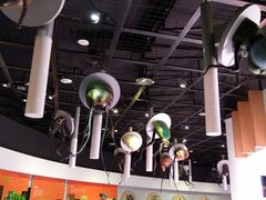 -陕西自然博物馆